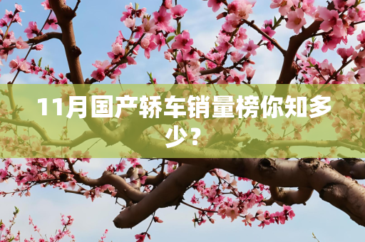11月国产轿车销量榜你知多少？