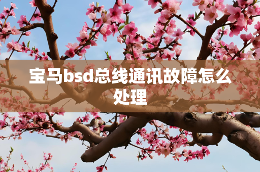 宝马bsd总线通讯故障怎么处理
