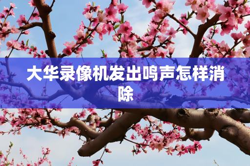 大华录像机发出鸣声怎样消除