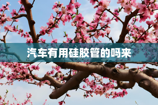汽车有用硅胶管的吗来