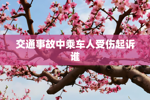 交通事故中乘车人受伤起诉谁