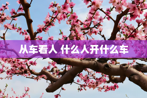 从车看人 什么人开什么车