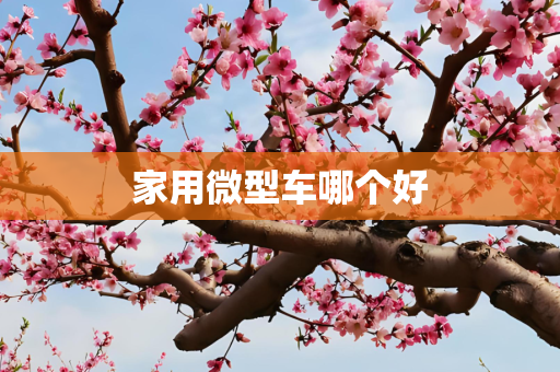 家用微型车哪个好