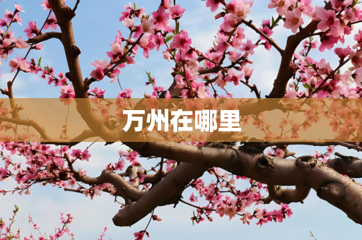 万州在哪里