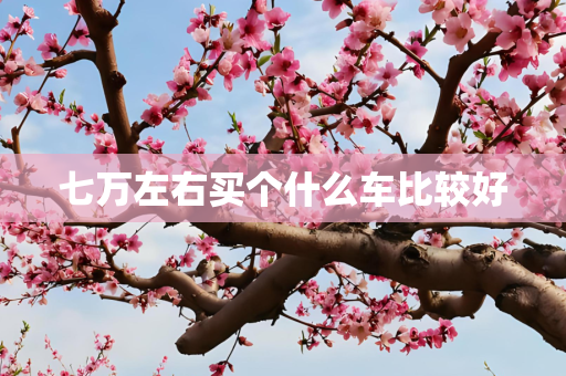 七万左右买个什么车比较好