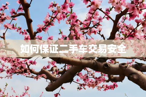 如何保证二手车交易安全