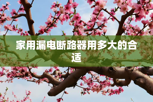 家用漏电断路器用多大的合适