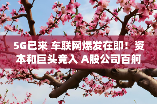 5G已来 车联网爆发在即！资本和巨头竞入 A股公司百舸争流(附股)