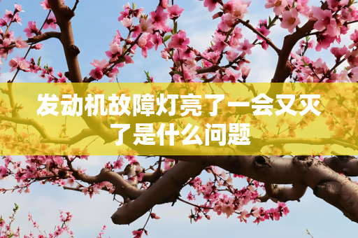 发动机故障灯亮了一会又灭了是什么问题