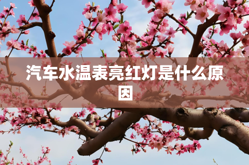 汽车水温表亮红灯是什么原因