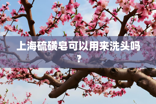 上海硫磺皂可以用来洗头吗？