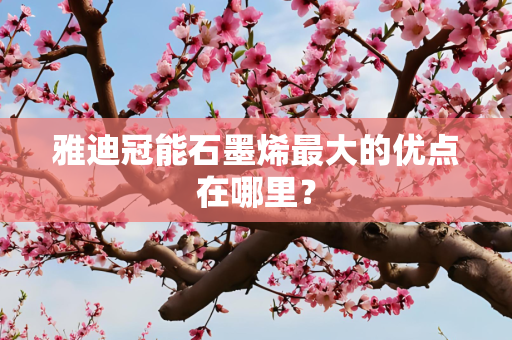 雅迪冠能石墨烯最大的优点在哪里？