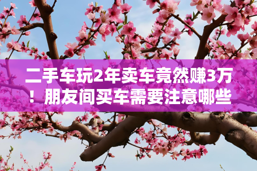 二手车玩2年卖车竟然赚3万！朋友间买车需要注意哪些方面？