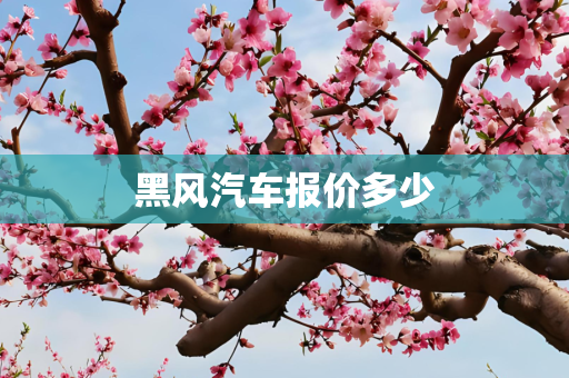 黑风汽车报价多少