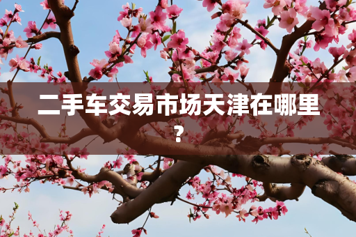 二手车交易市场天津在哪里?