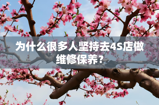 为什么很多人坚持去4S店做维修保养？