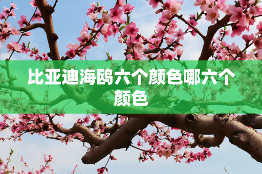 比亚迪海鸥六个颜色哪六个颜色