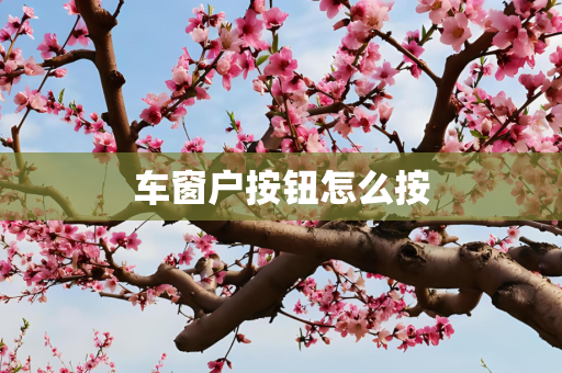 车窗户按钮怎么按