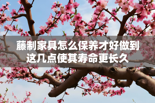 藤制家具怎么保养才好做到这几点使其寿命更长久