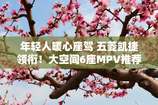 年轻人暖心座驾 五菱凯捷领衔！大空间6座MPV推荐！