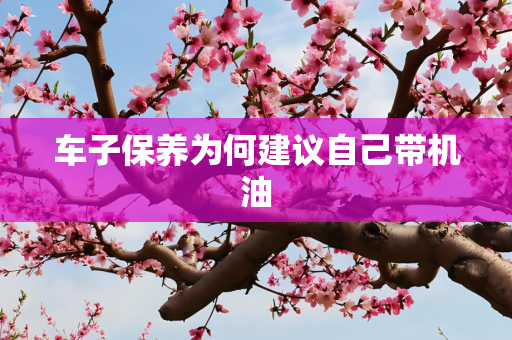 车子保养为何建议自己带机油