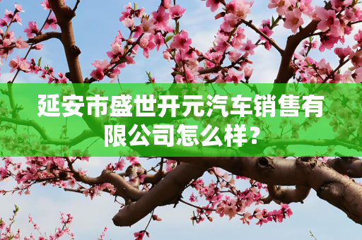 延安市盛世开元汽车销售有限公司怎么样？