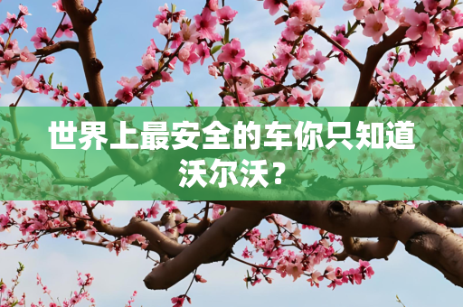 世界上最安全的车你只知道沃尔沃？