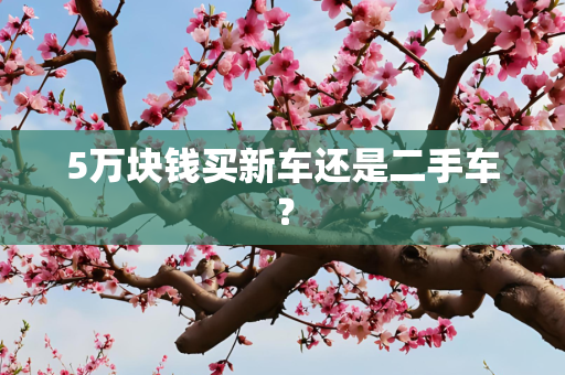 5万块钱买新车还是二手车？