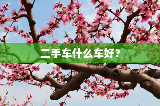 二手车什么车好？