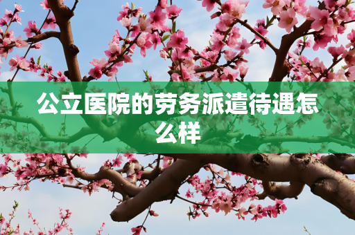 公立医院的劳务派遣待遇怎么样