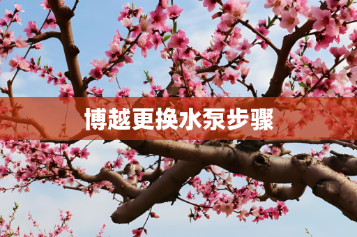 博越更换水泵步骤