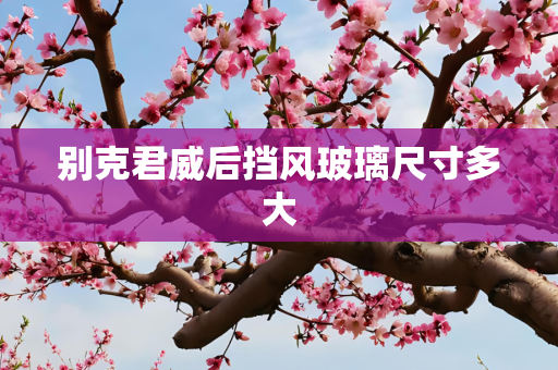 别克君威后挡风玻璃尺寸多大