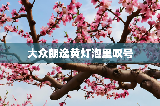 大众朗逸黄灯泡里叹号