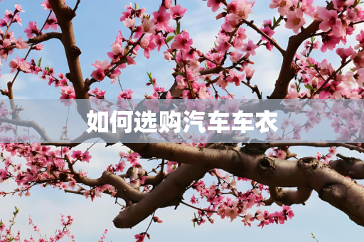 如何选购汽车车衣