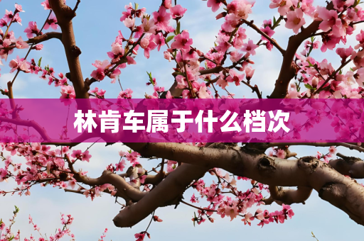 林肯车属于什么档次