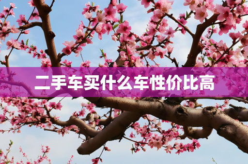 二手车买什么车性价比高