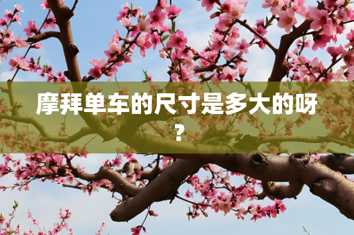 摩拜单车的尺寸是多大的呀？