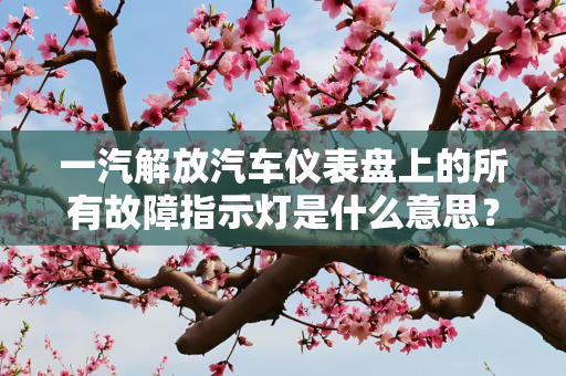 一汽解放汽车仪表盘上的所有故障指示灯是什么意思？