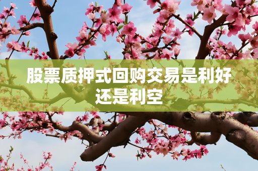 股票质押式回购交易是利好还是利空