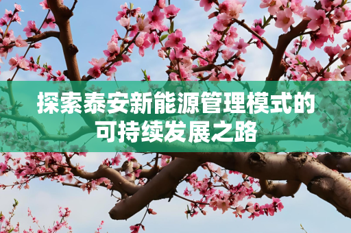 探索泰安新能源管理模式的可持续发展之路