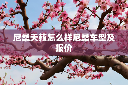 尼桑天籁怎么样尼桑车型及报价