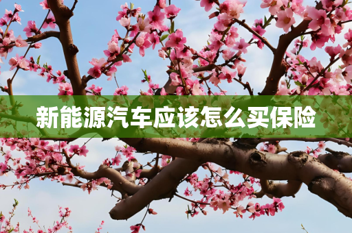 新能源汽车应该怎么买保险