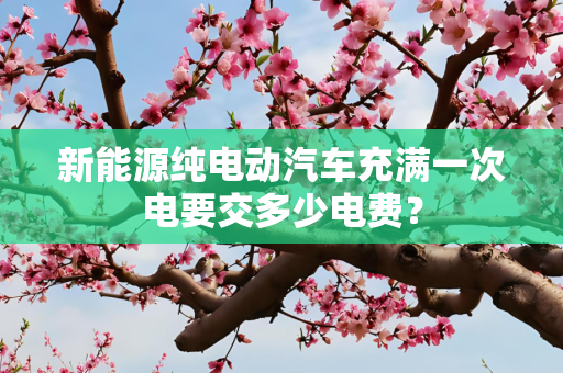 新能源纯电动汽车充满一次电要交多少电费？