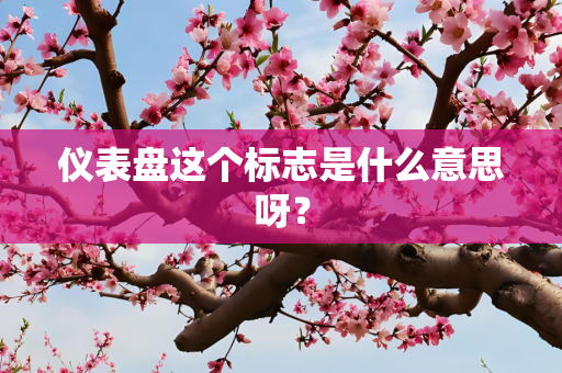仪表盘这个标志是什么意思呀？