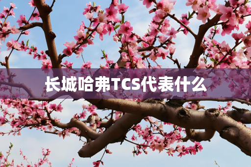 长城哈弗TCS代表什么