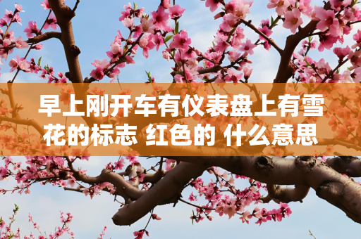 早上刚开车有仪表盘上有雪花的标志 红色的 什么意思？