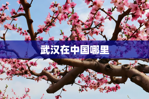 武汉在中国哪里