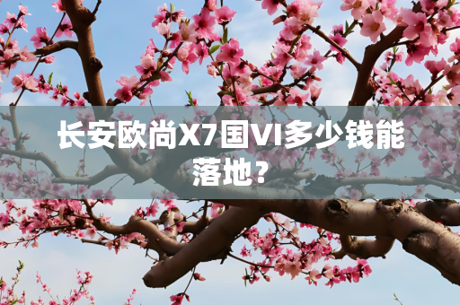 长安欧尚X7国VI多少钱能落地？