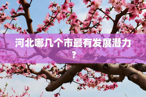 河北哪几个市最有发展潜力？