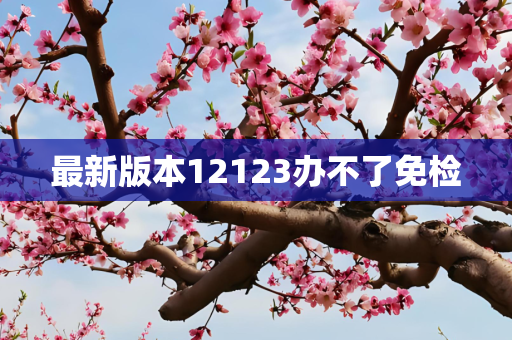 最新版本12123办不了免检